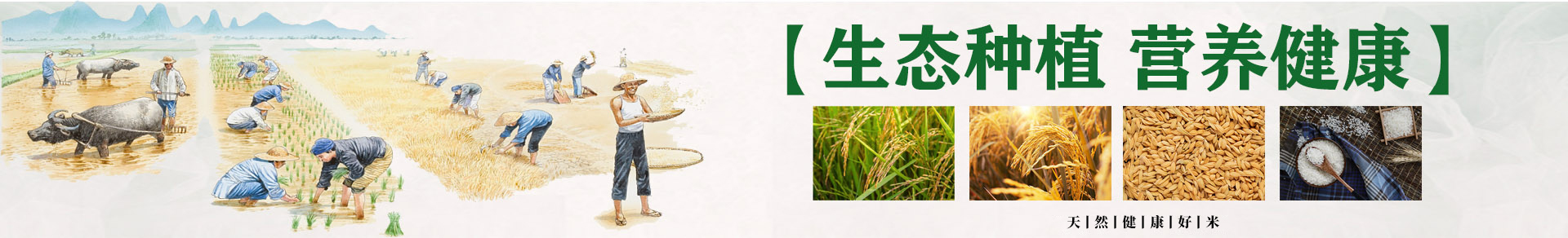 通用banner